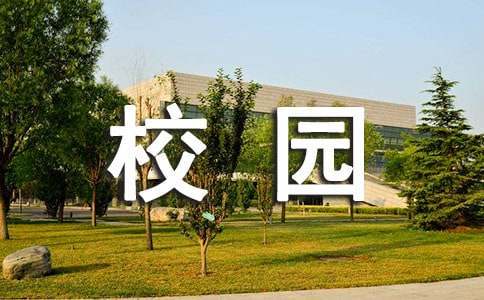 哪里有针对青少年的篮球训练计划_2